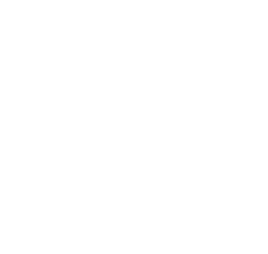 logo_decoration